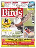 Cage & Aviary Birds